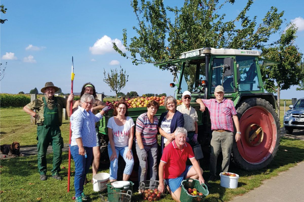 Apfelernte September 2021 in der Solitudeallee